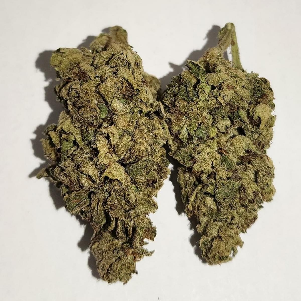 Cherry Lion - A+ Topshelf