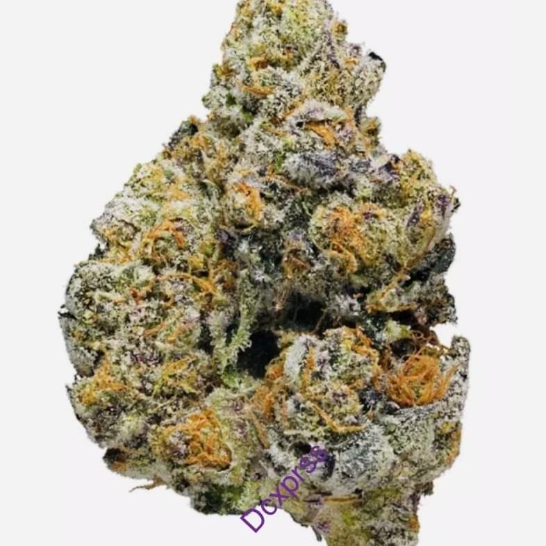 MONSTER COOKIES (EXOTIC)