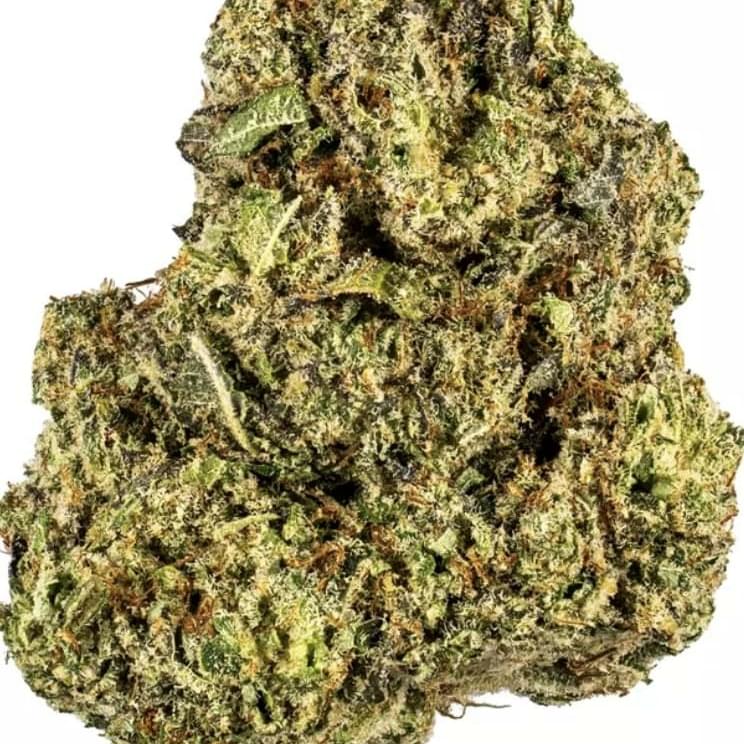 Sherblato (TOP SHELF)