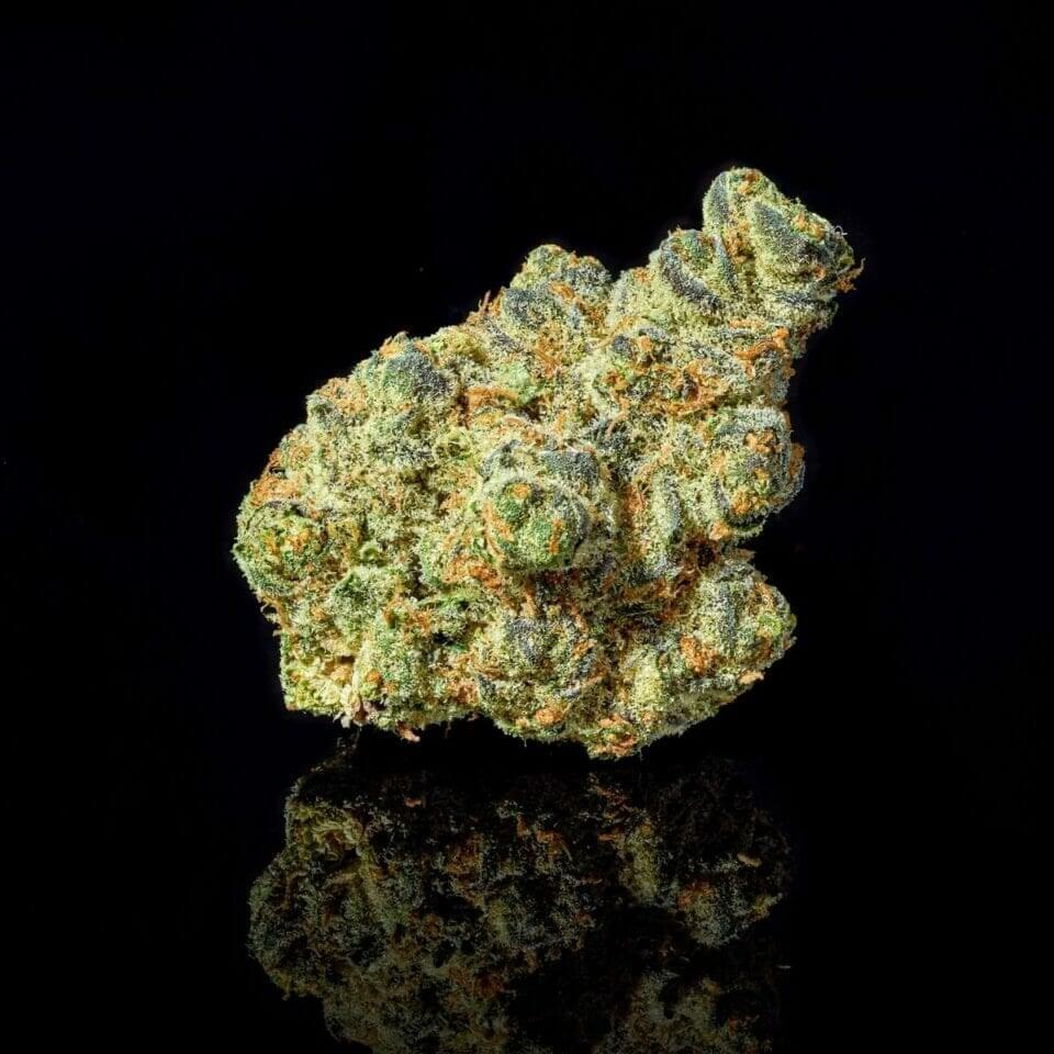 Apple Fritters EXOTIC