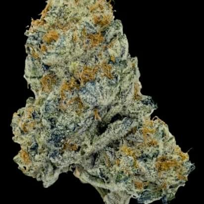 Dante's Inferno - 14g