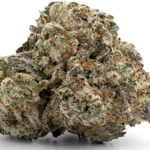 White Widow (exotic)