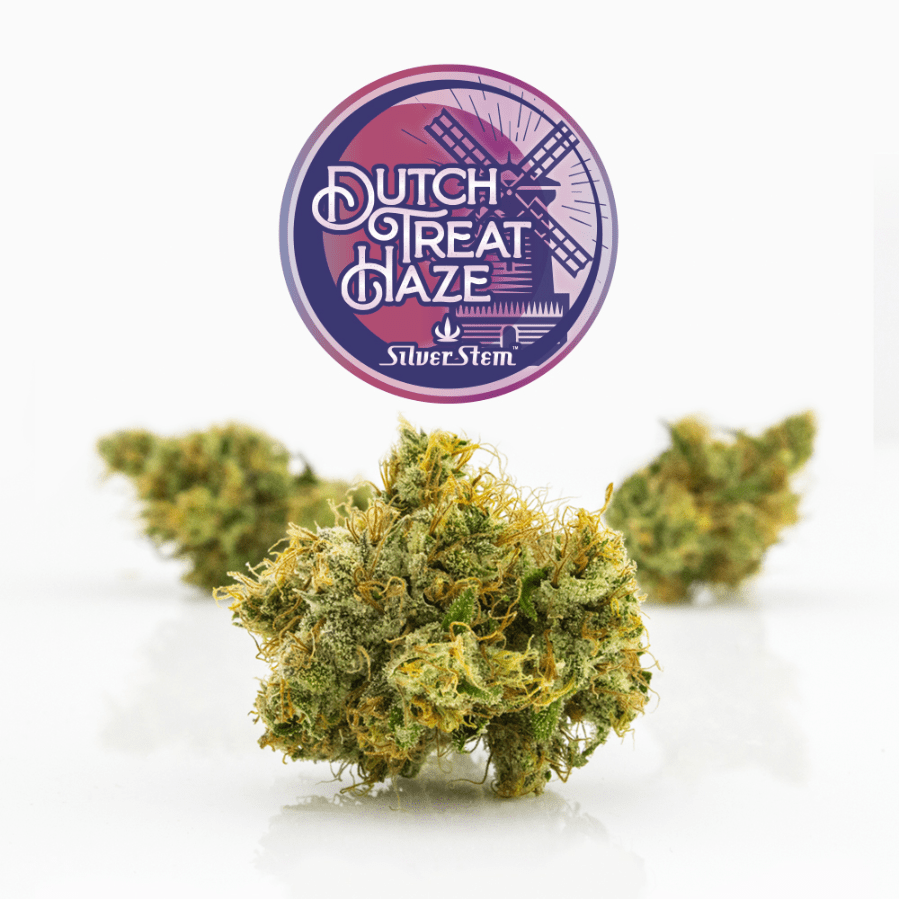 Dutch Treat Haze | Sativa