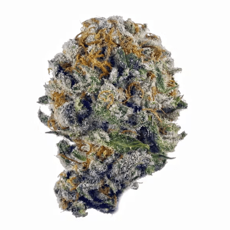 Strawberry Shortcake (Exotic)