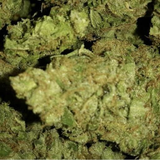 Asian Fantasy (TOP SHELF)