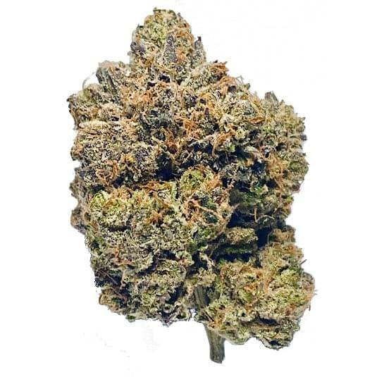 Platinum Truffles (EXOTIC A+)