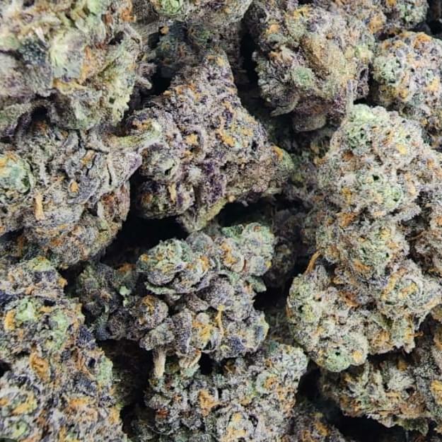 Rainbow Runts (exotic)