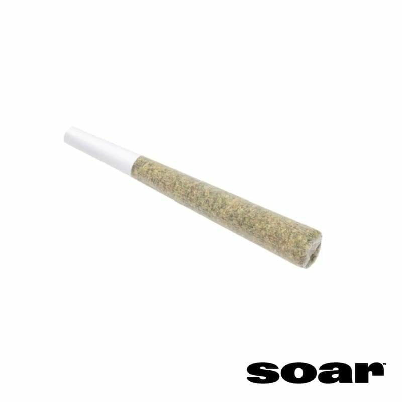 Electric Grapefruit 1 x 1g