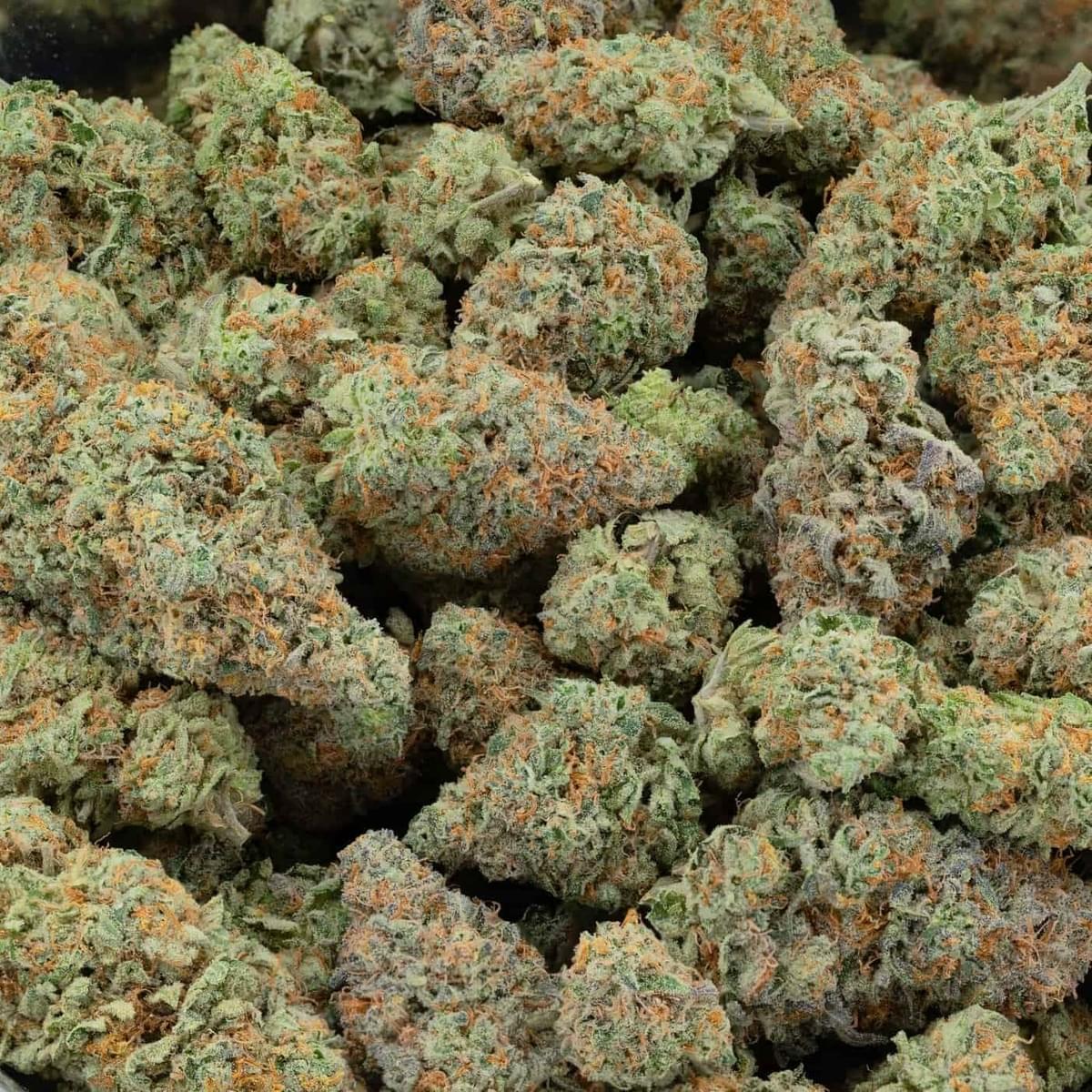 Watermelon Kush (AAA)