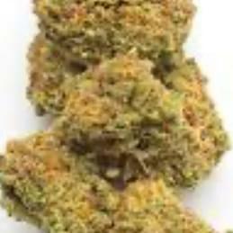 Jack Herer (top shelf)