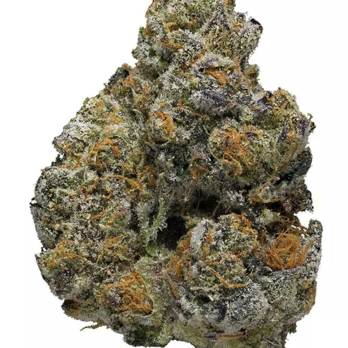 Monster cookie INDOOR