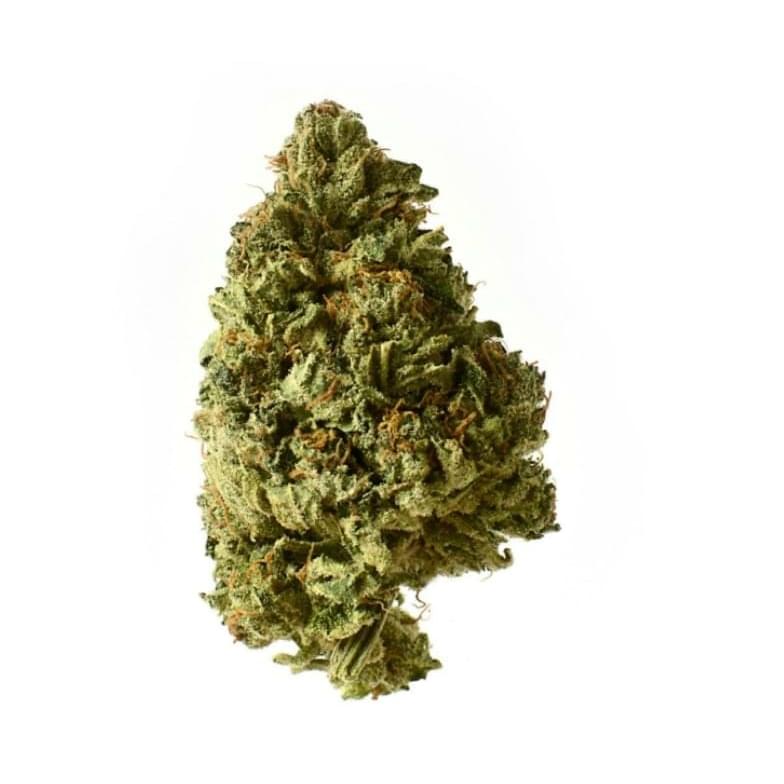 Chocolate Chunk (Top Shelf)