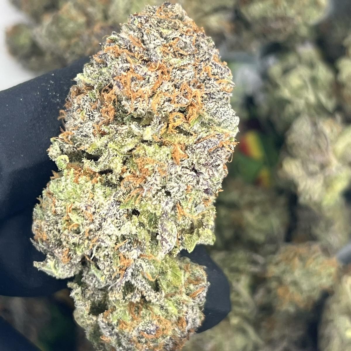 EXOTIC- DIRTY SPRITE