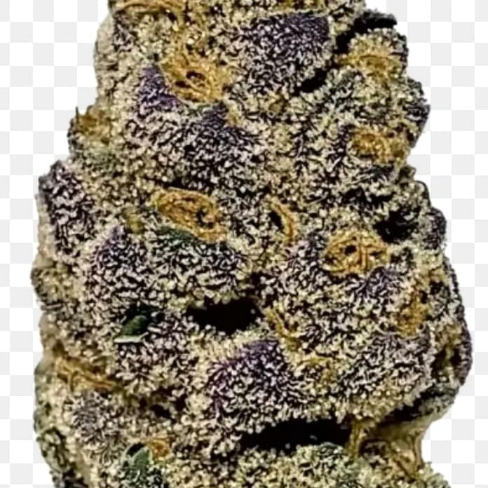 OREO BLIZZARD (DESIGNER)