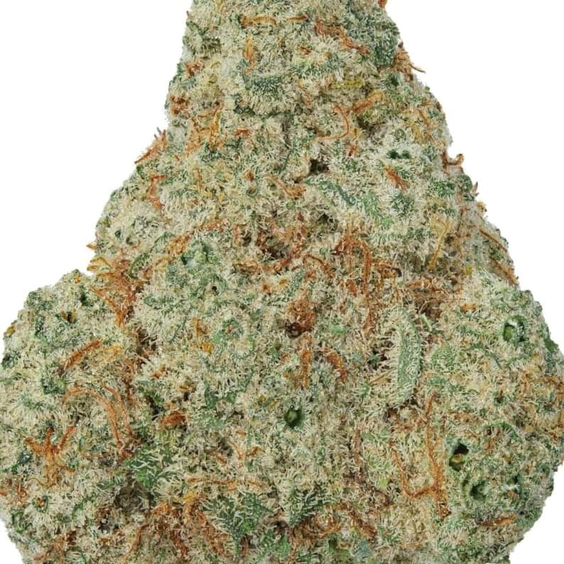 AMNESIA HAZE (TOPSHELF)