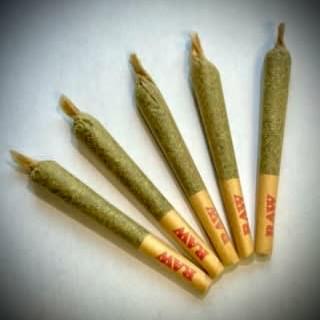 GASQUATCH PR | SASSY WEED CO | 5 X .5G