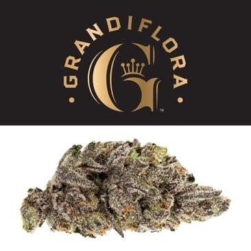 Grandiflora | Loma Prieta premium indoor flower 3.5g | 20.07% THC