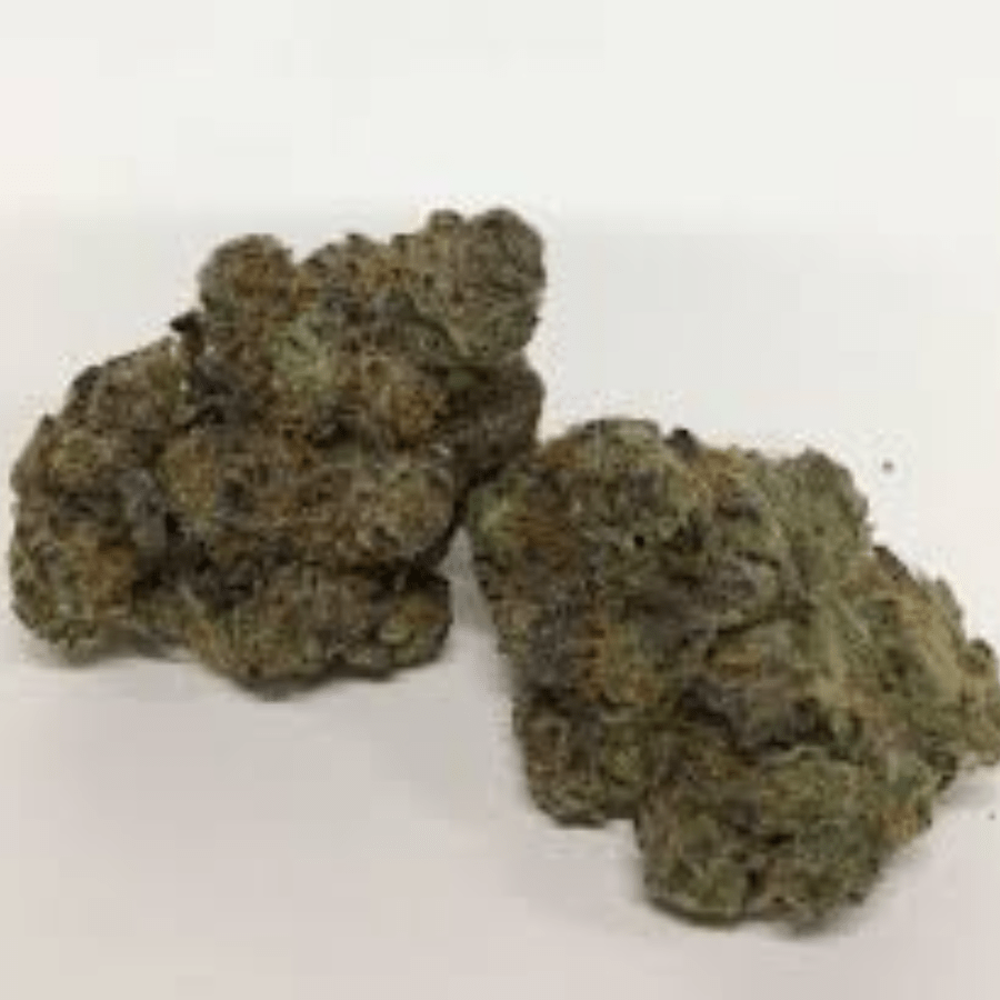 Grape Spodie (H) by Green Man