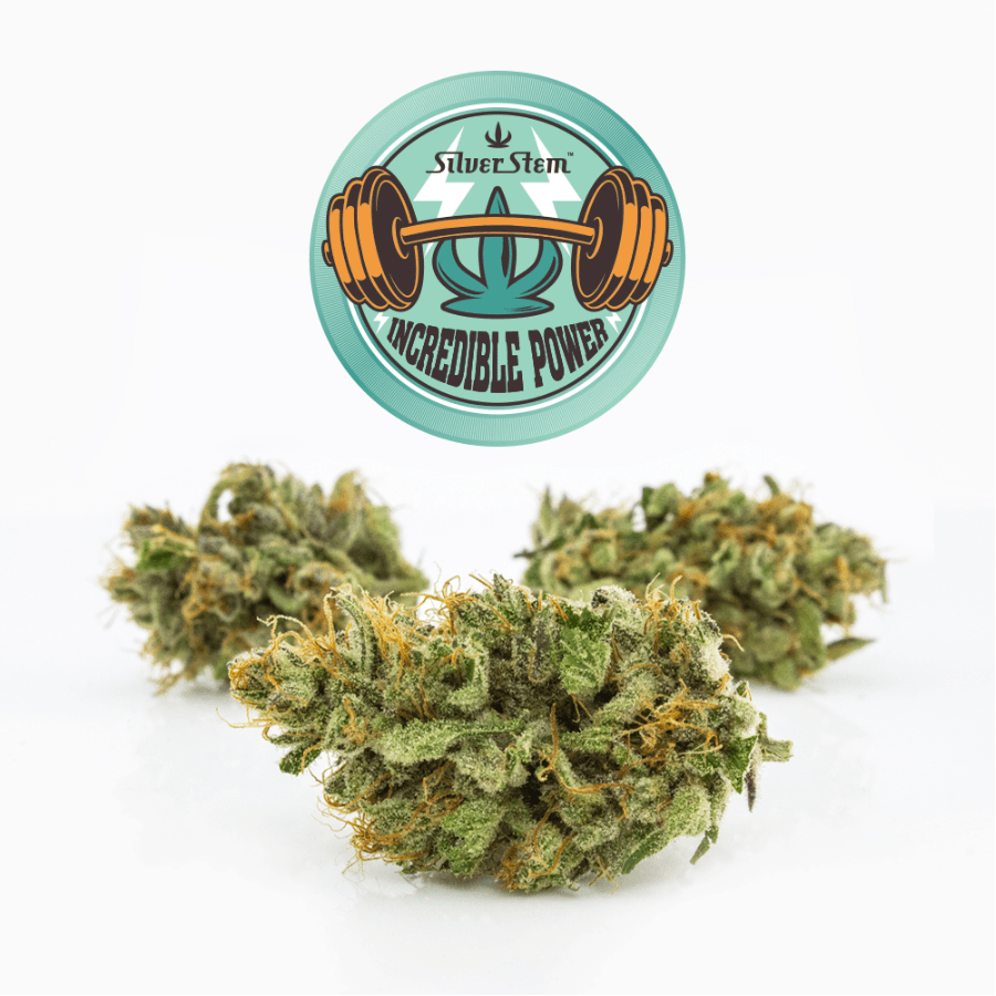 Incredible Power CBD 1:1 | Indica-Hybrid