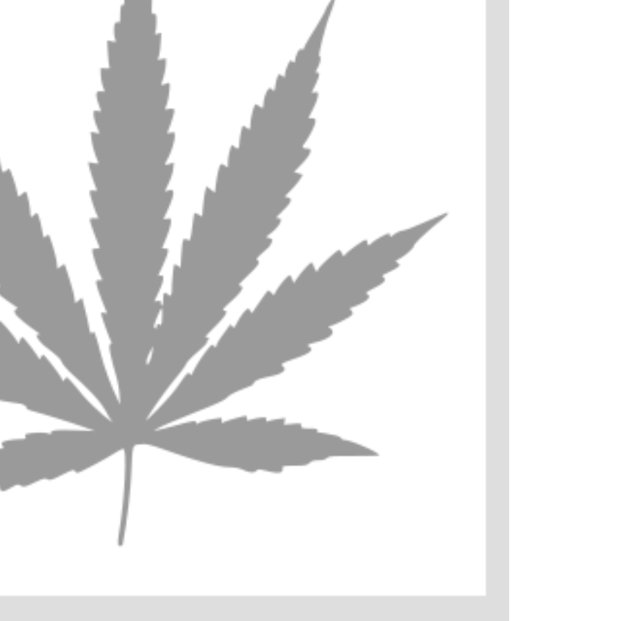 Juicy Hemp Wraps Lemon Cake 2 pack