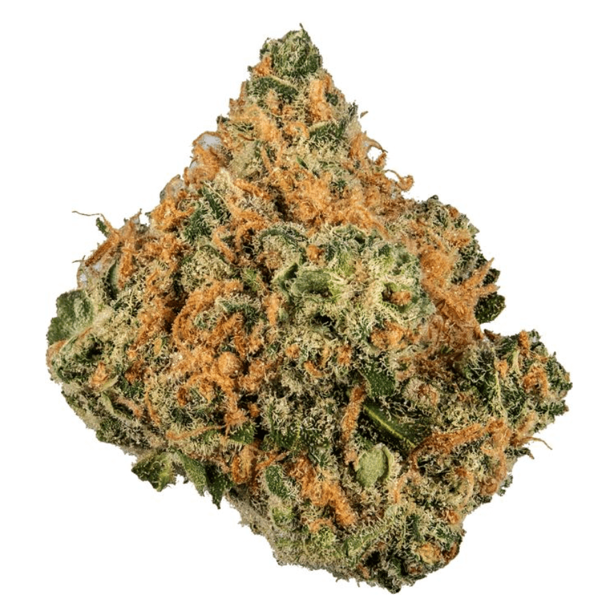 Lime Skunk Muffins (S) by Green Man