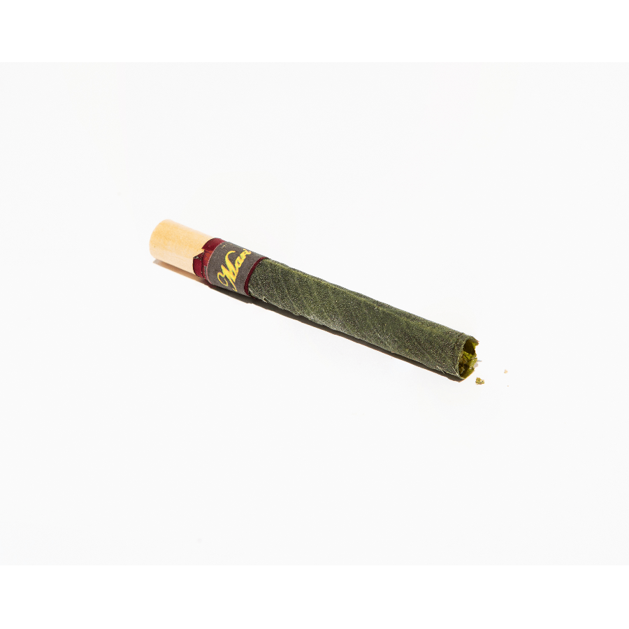 Midnight Roots | GMO | Migar |