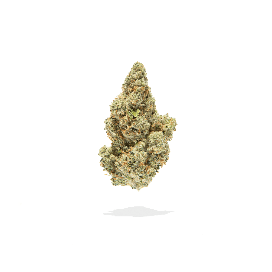 Redbud Roots | SFV 4