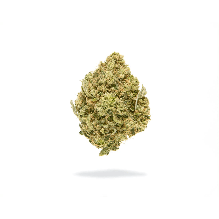 Redbud Roots | Snoop Dawg