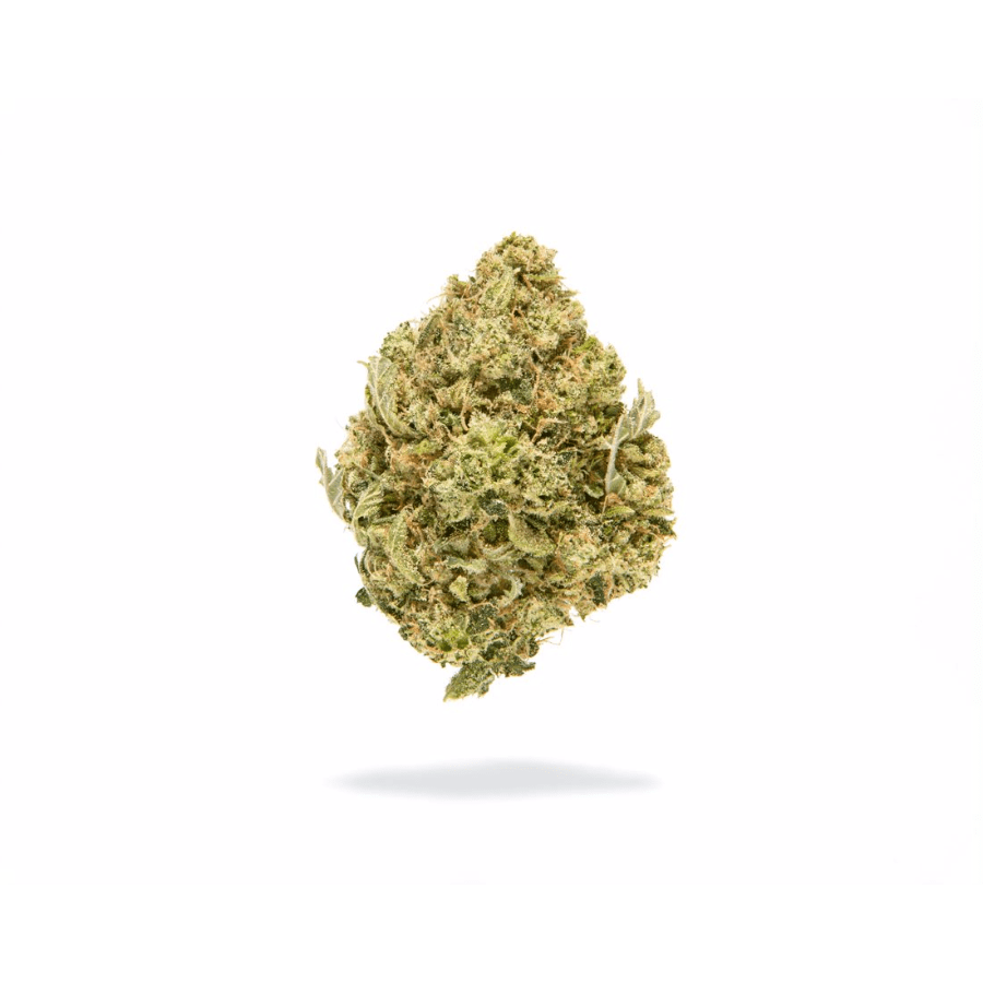 Redbud Roots | Snoop Dawg | Organic Grown