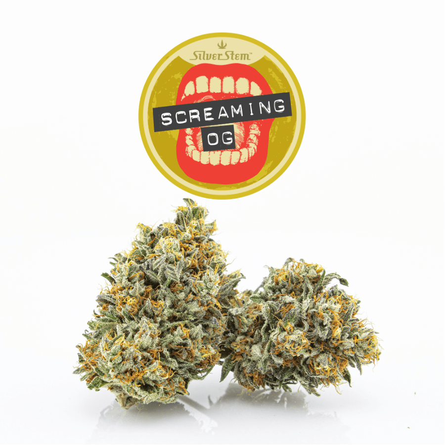 Screaming OG | Indica