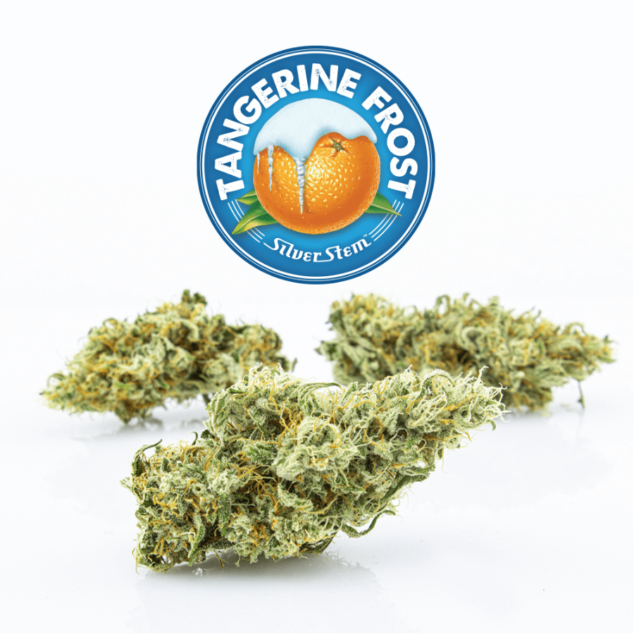 Tangerine Frost | Sativa
