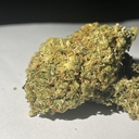 Rolex OG (Hi-Life Specials)