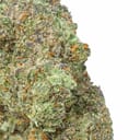 Green Crack - Sativa THC 24%