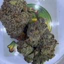 EXOTIC- BLUE RASPBERRY GELATO