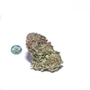 Cali Bubba (top shelf)