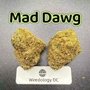 Mad Dawg