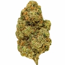 Honeydew (TOP SHELF)