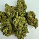 Sour Jack