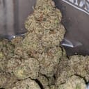 Sour Apple(A+)