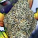 EXOTIC- FORBIDDEN DREAM