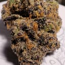 Granddaddy Purple