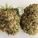 Peach Punch - Exotic A+