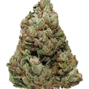 Presidential Kush (TOP SHELF)