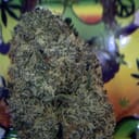 EXOTIC.-FRUITY PEBBLES