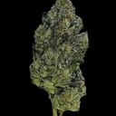 Sky Walker OG (TOP SHELF)