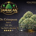 Dr. Grinspon