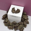 Mendocino Purps-Exotic A+