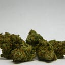 **Green Crack**