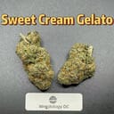 Sweet Cream Gelato---Exotics