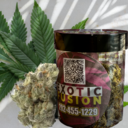 PURPLE ðÂÂÂÂÂÂÂÂÂ HAZE